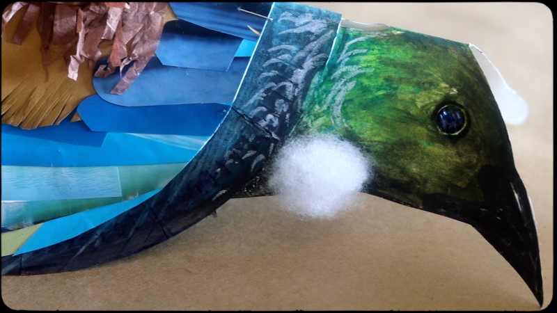 Tui close up