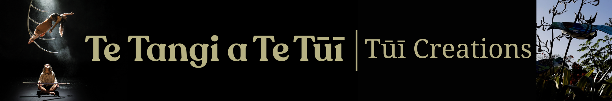 Tui creations banner