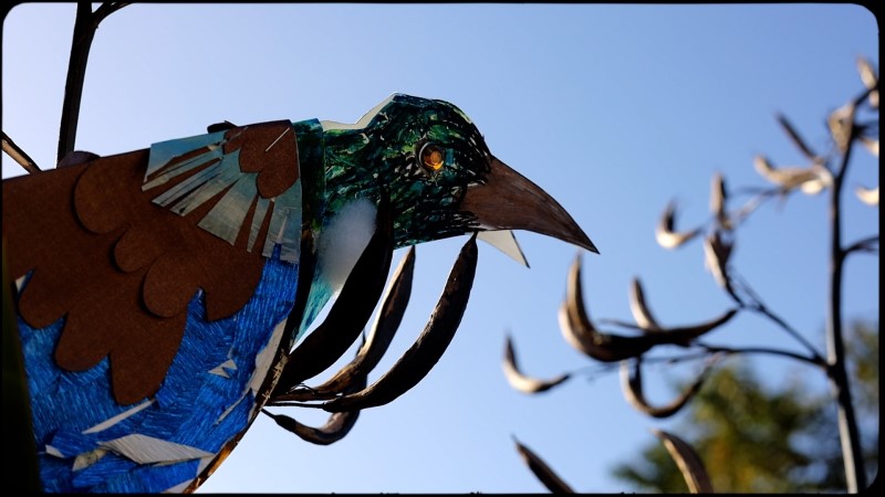 Tui outside